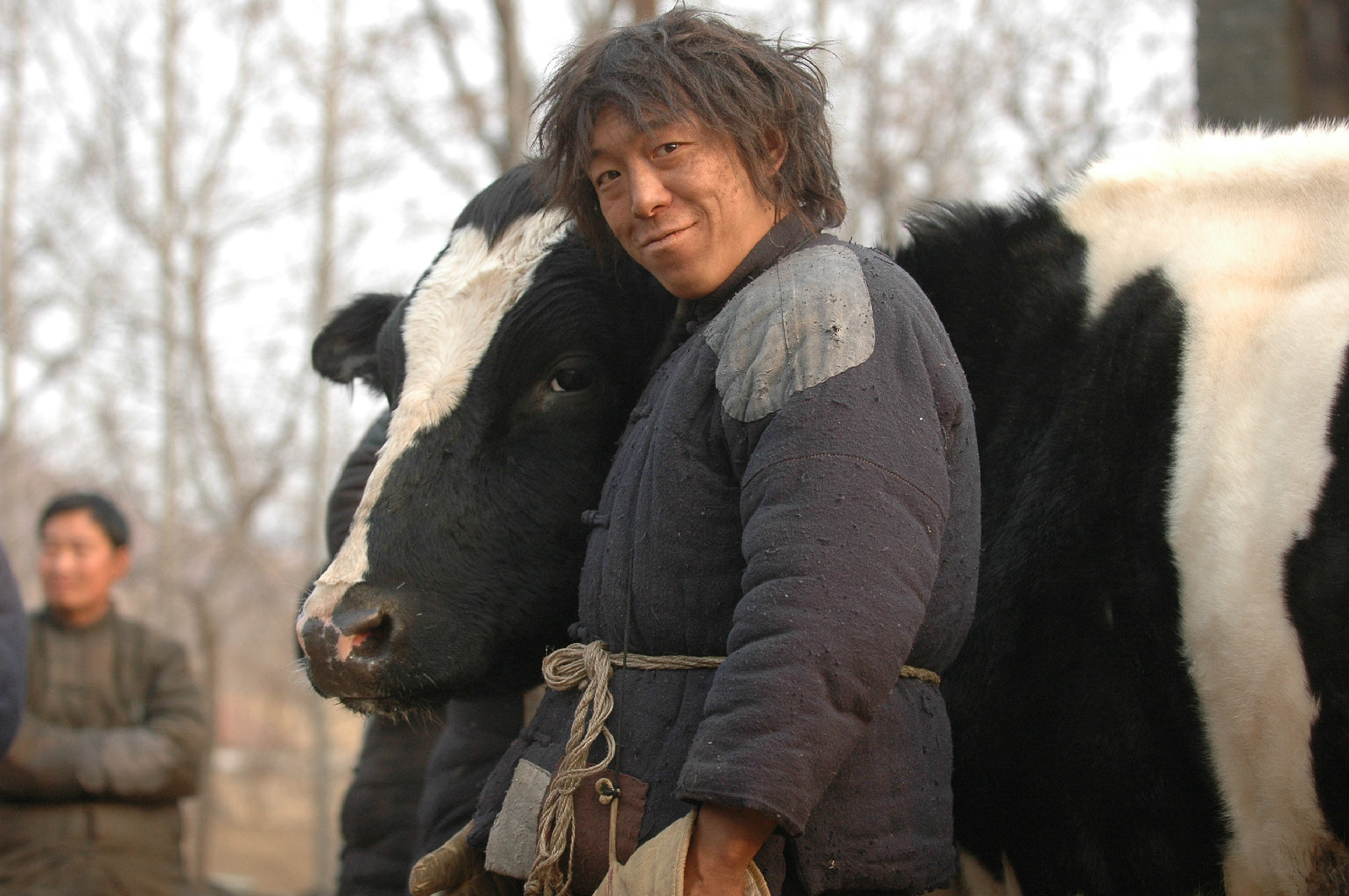 斗牛无水印