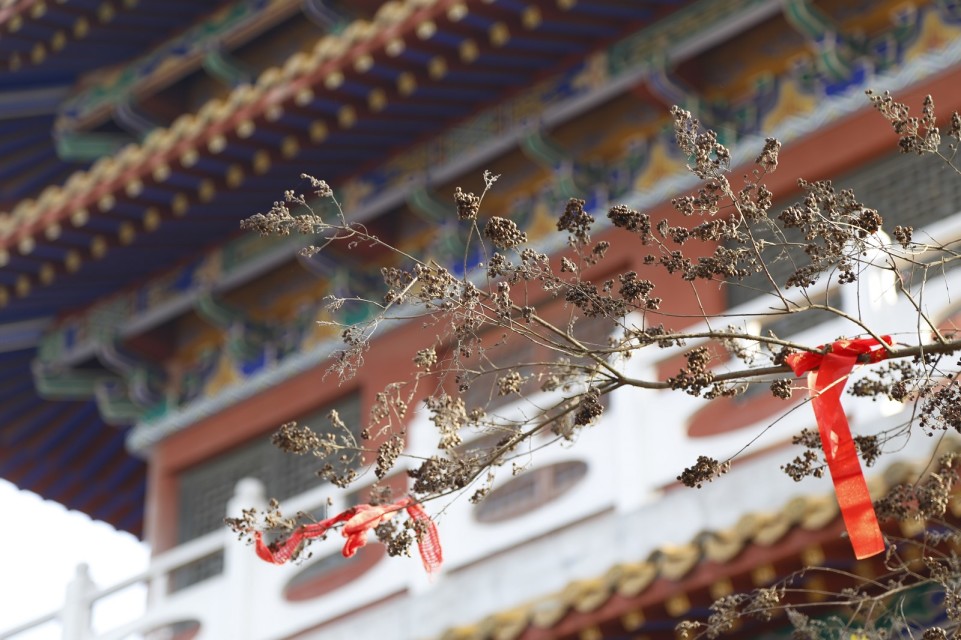 双河大庙