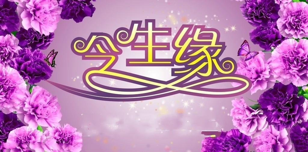 今生缘