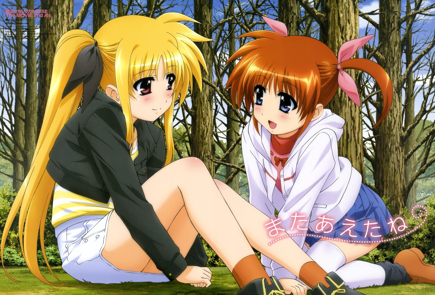 nanoha takamachi