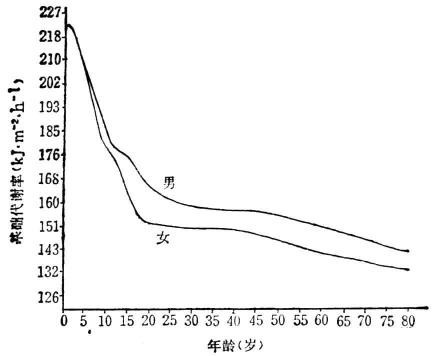 图1 不同性别与不同年龄的正常基础代谢率