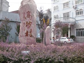  p data-id="gn2ojgycj8">高沙村位于广东省广州市从化区良口镇下辖村