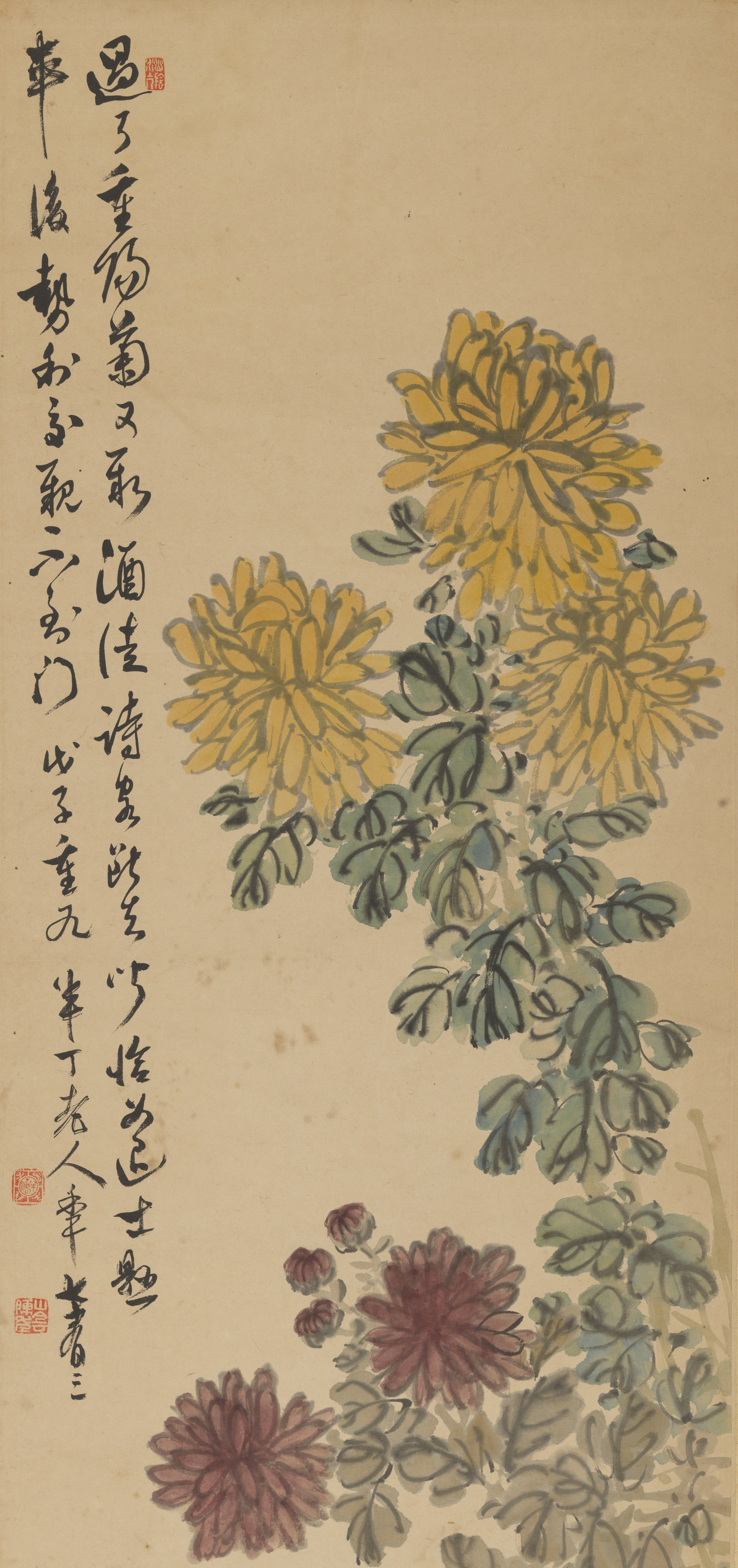  p>《重阳新菊图》为陈半丁1948年重阳节73岁时所作,现由湖北美术学院