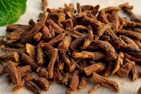 蒲公英根(蒲公英根和什么搭配泡水最好) - 123植物网