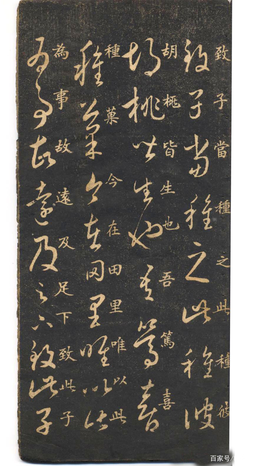 学草书竟然和学英语差不多，背会这两本法帖，你就入门了_百科TA说