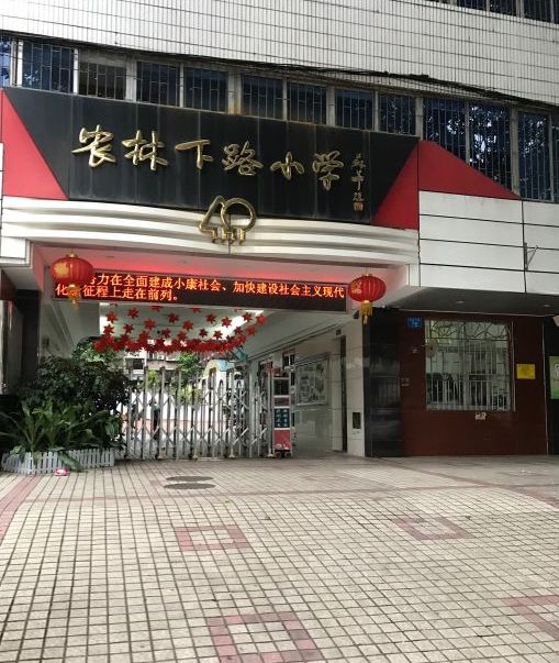  p>农林下路小学位于农林下路76号,始建于1964年,原名犀牛路小学,1983