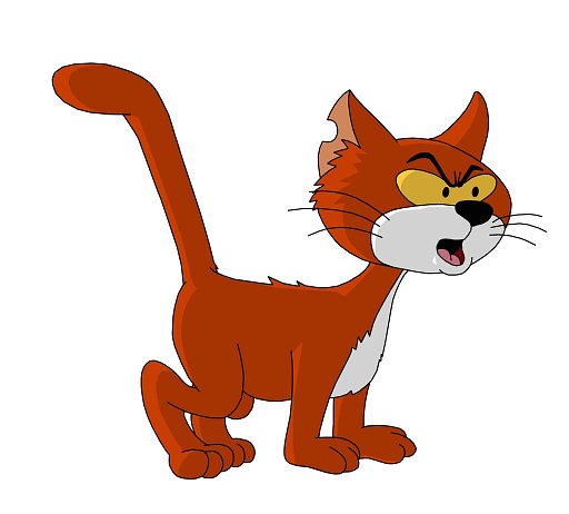 阿兹猫