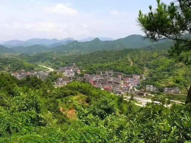 毛村镇毛村村