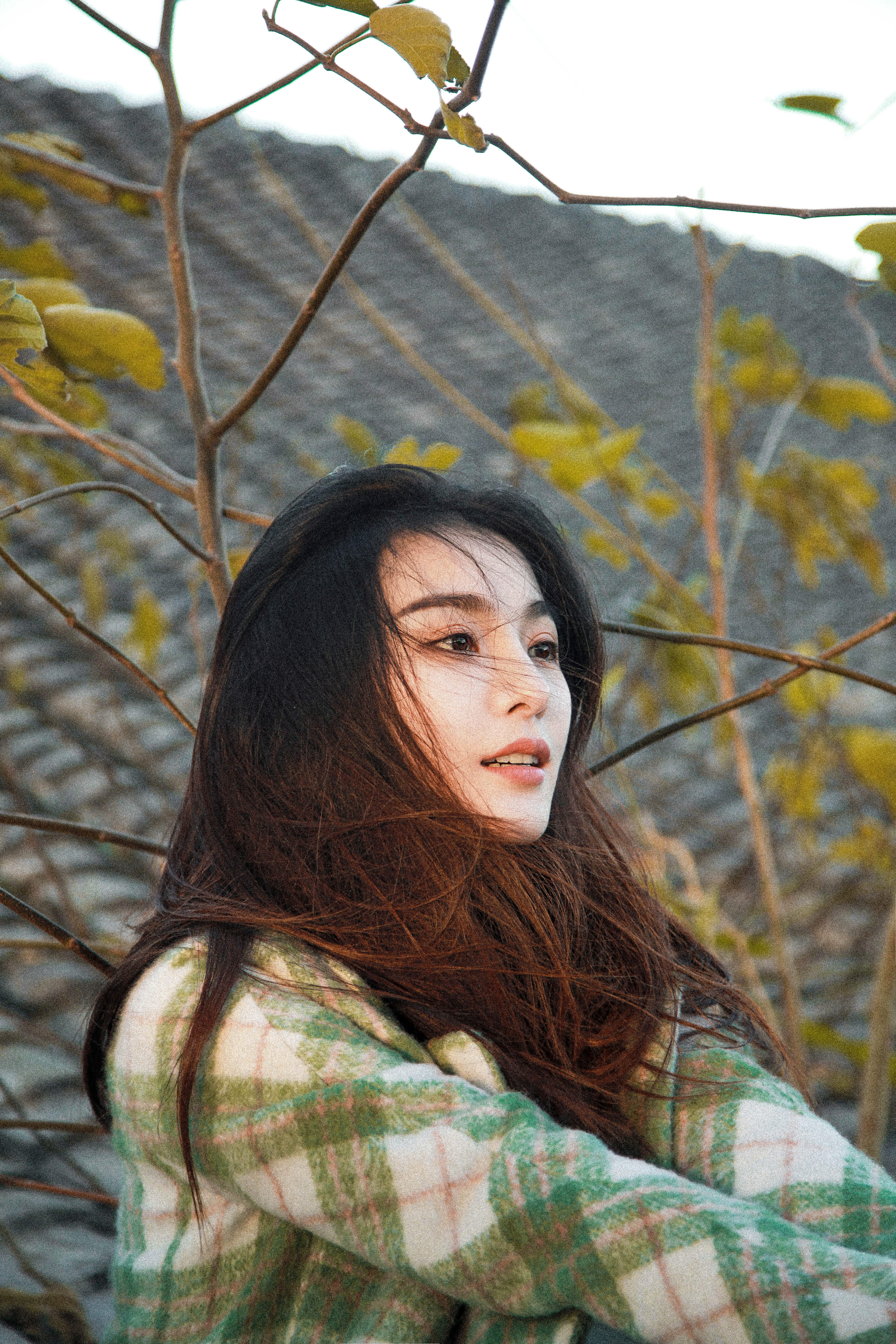  /p> p data-id="gnbiyf29gb">2017年,林子晴作为学员参加了 a target