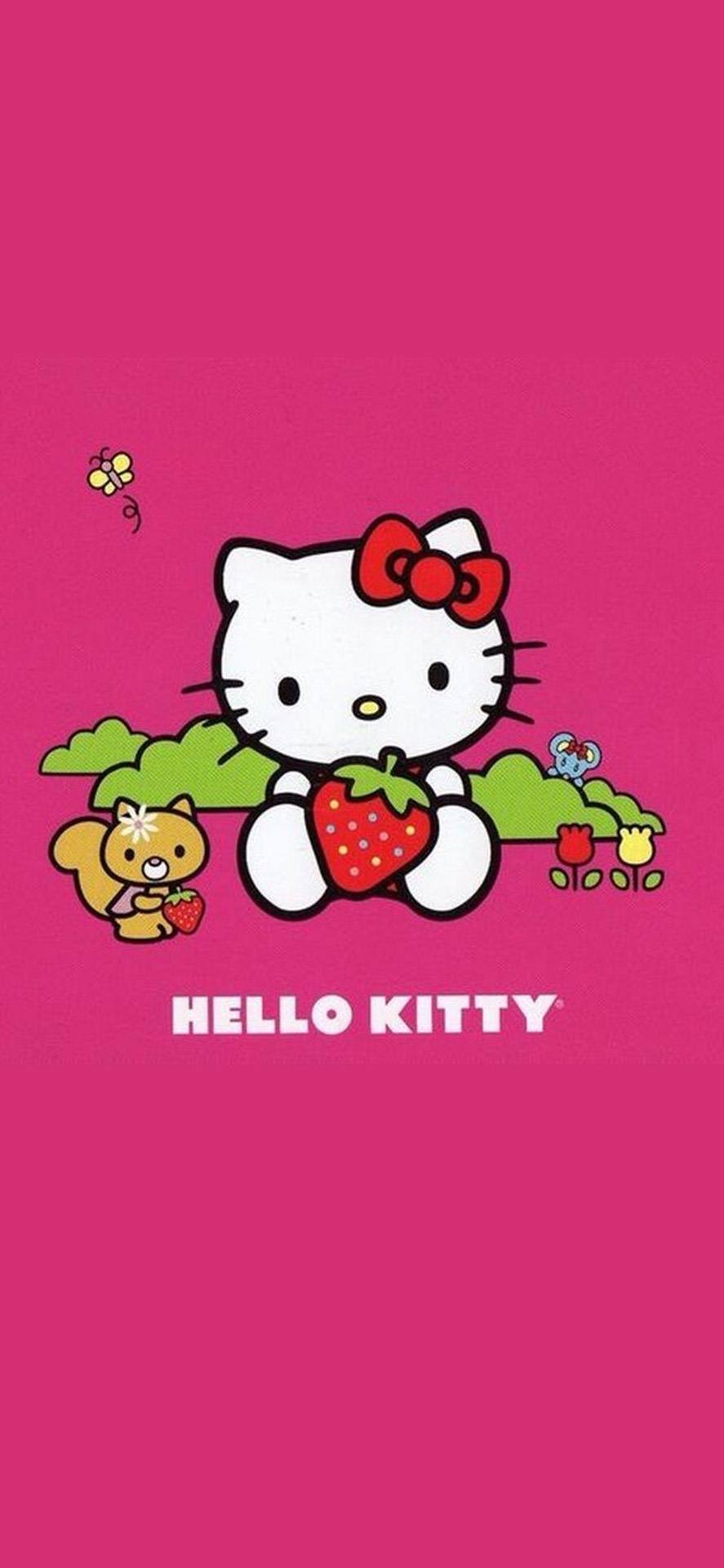 hello kitty