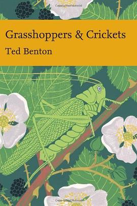 grasshoppers and crickets