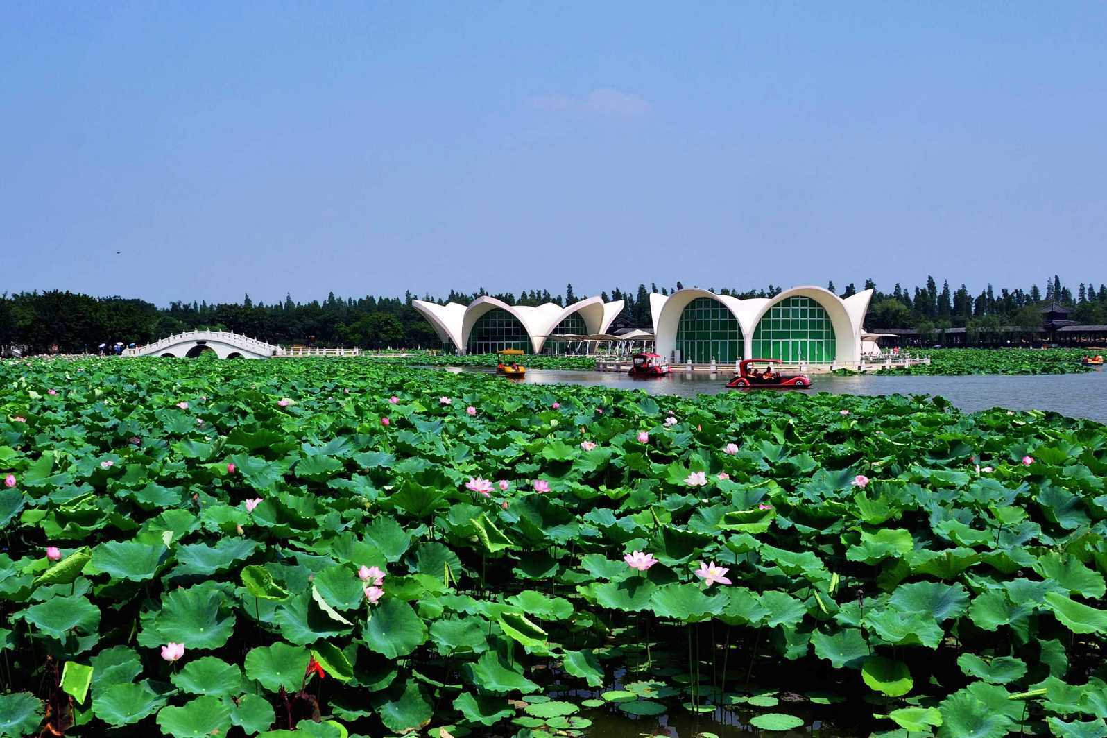  p>三水区是 a target="_blank" href="/item/佛山">佛山 /a>市五个