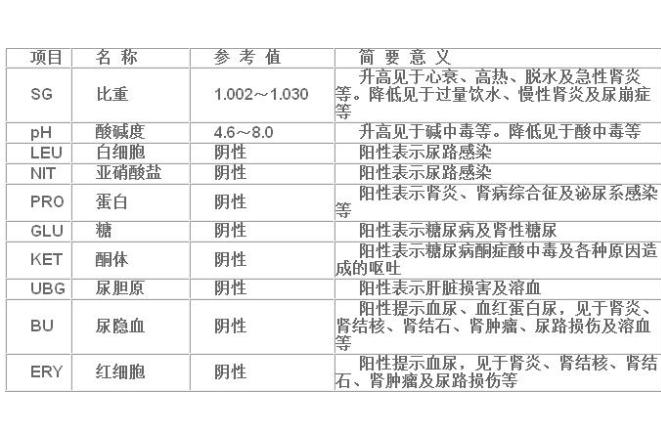 尿常规化验单