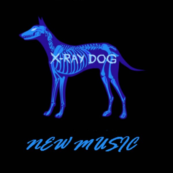 x-ray dog