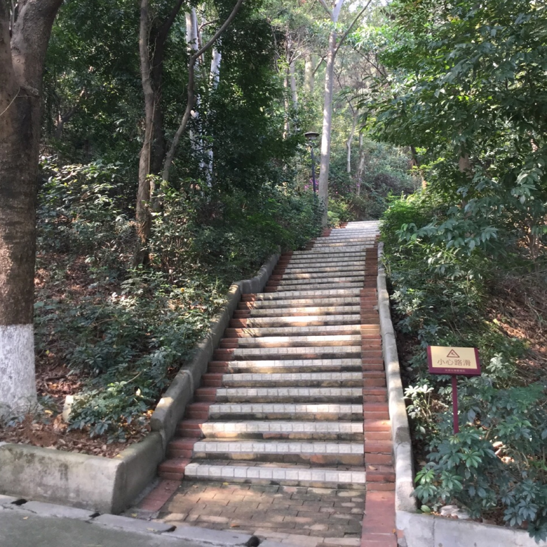 东莞长安公园