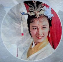 赵静图集