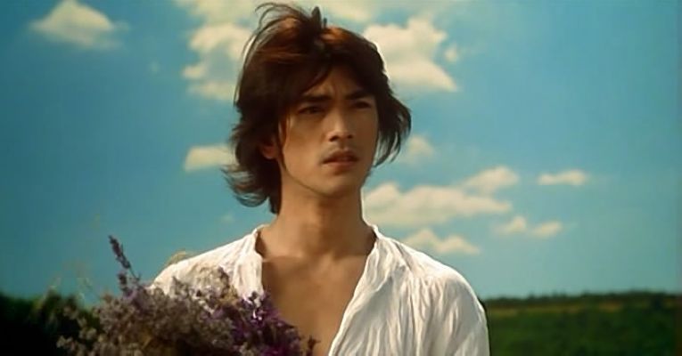 lavandula angustifolia  vera 