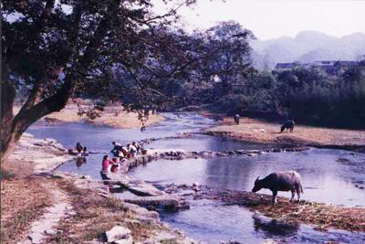  p>广西融安县大良镇为广西融安县下辖镇,位于 a target="_blank"