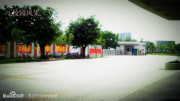 p>茂名市龙岭学校坐落在广东省茂名市小东江竹园桥东面,环境优美,是