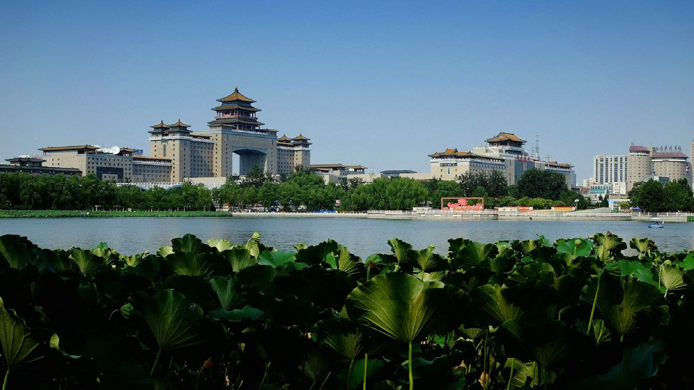 丰台区莲花池公园