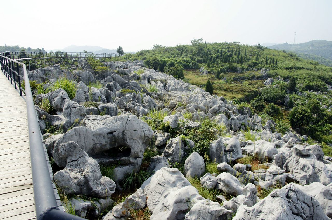  p>丫山风景区位于安徽省 a target="_blank" href="/item/芜湖市