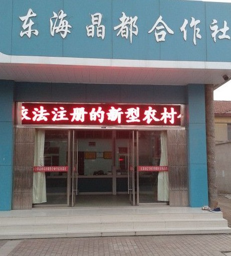 江苏连云港东海晶都合作社