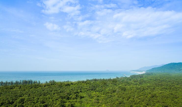 礼纪青皮林自然保护区