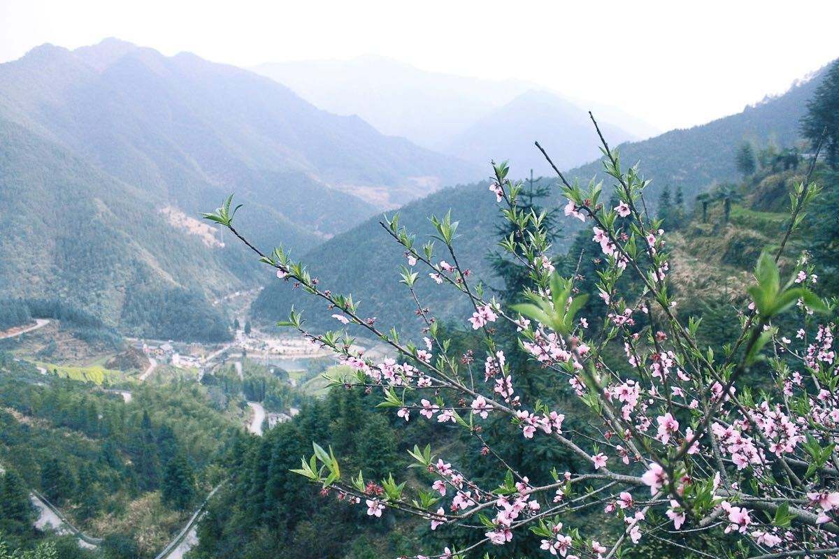 古田山