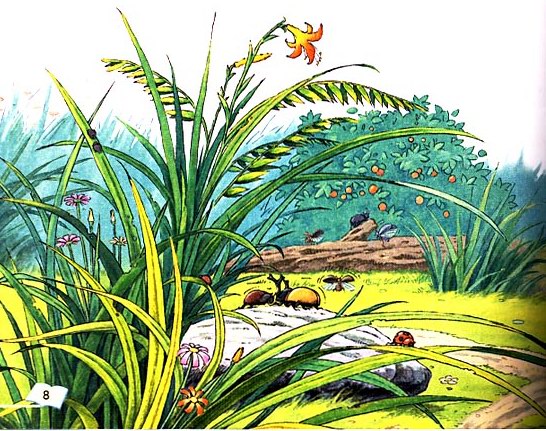 作者: a href="#" data-lemmaid="64390">郭枫 /a>,朗读: a href="#"