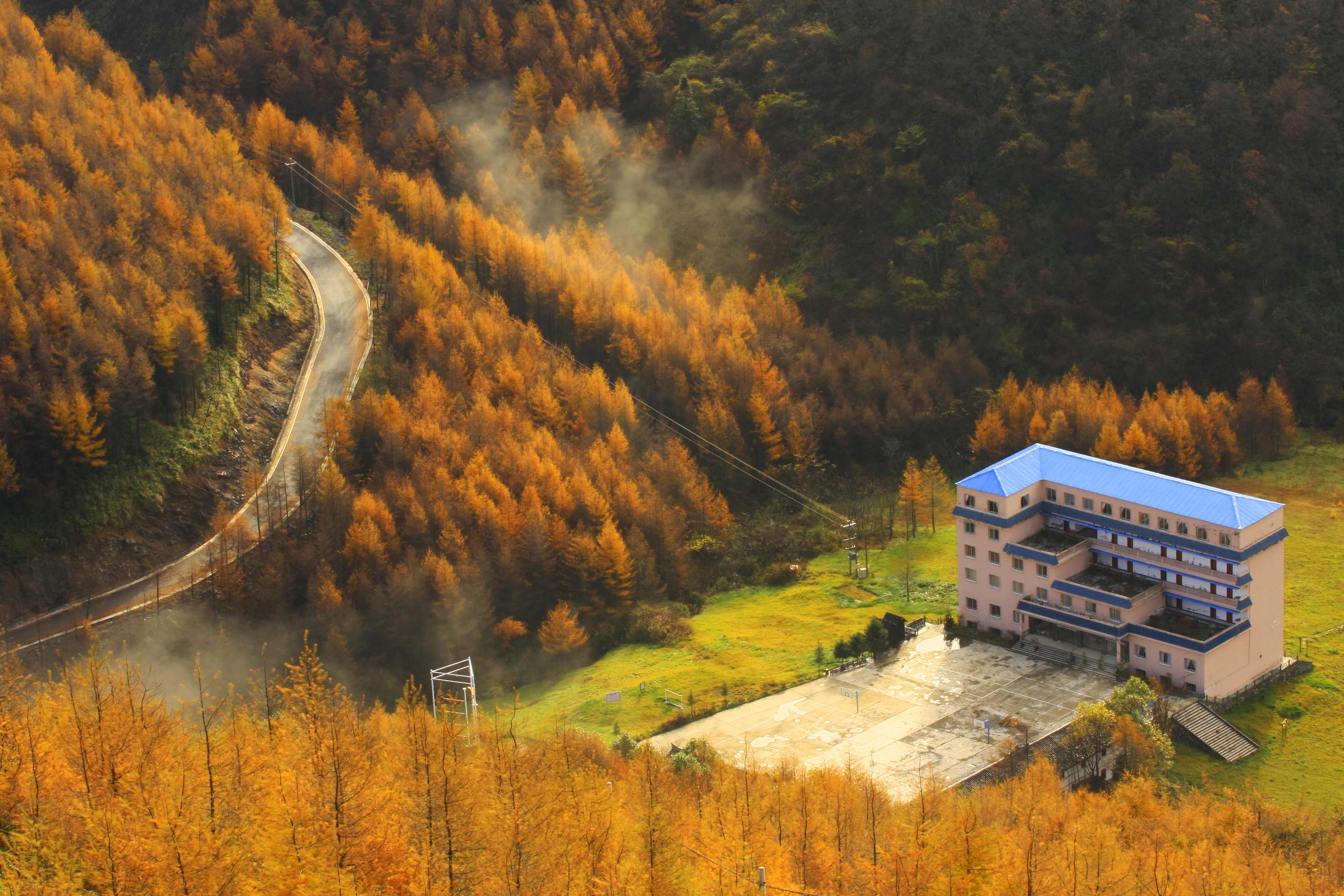 巫山梨子坪森林公园