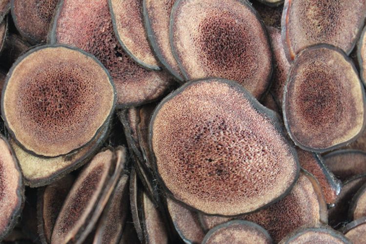  p>马鹿茸,又名茸角,东马茸,西马茸,是动物马鹿的雄鹿未骨化密生茸毛