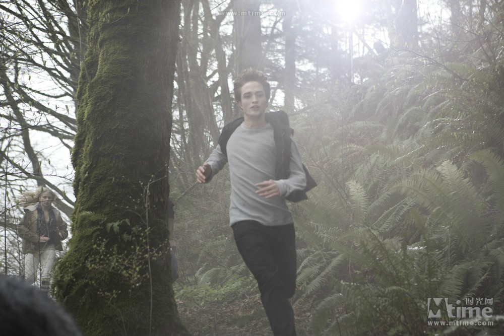 暮光之城:无惧的爱