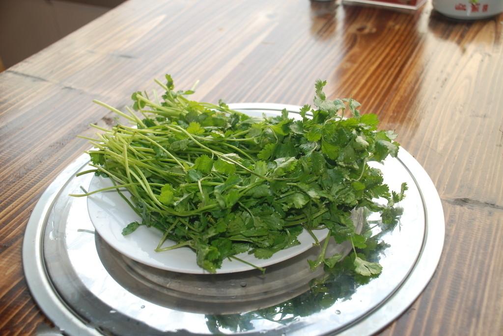  p data-id="gncib07rgb">香菜,学名 a target="_blank" href="/item