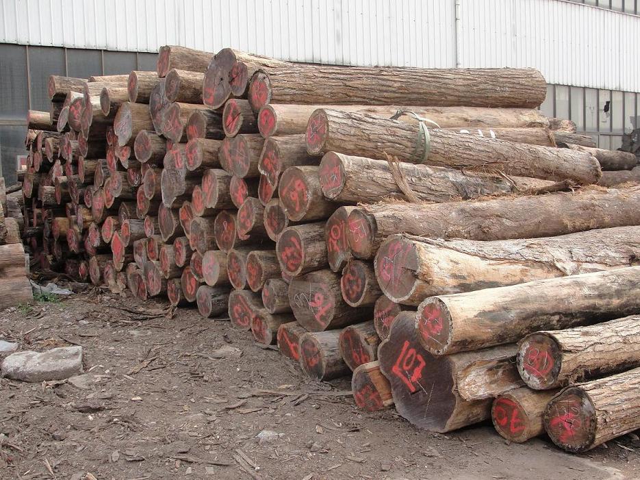 v2x">中美洲黄檀(dalbergia granadillo pittier)主产主产地是墨西哥