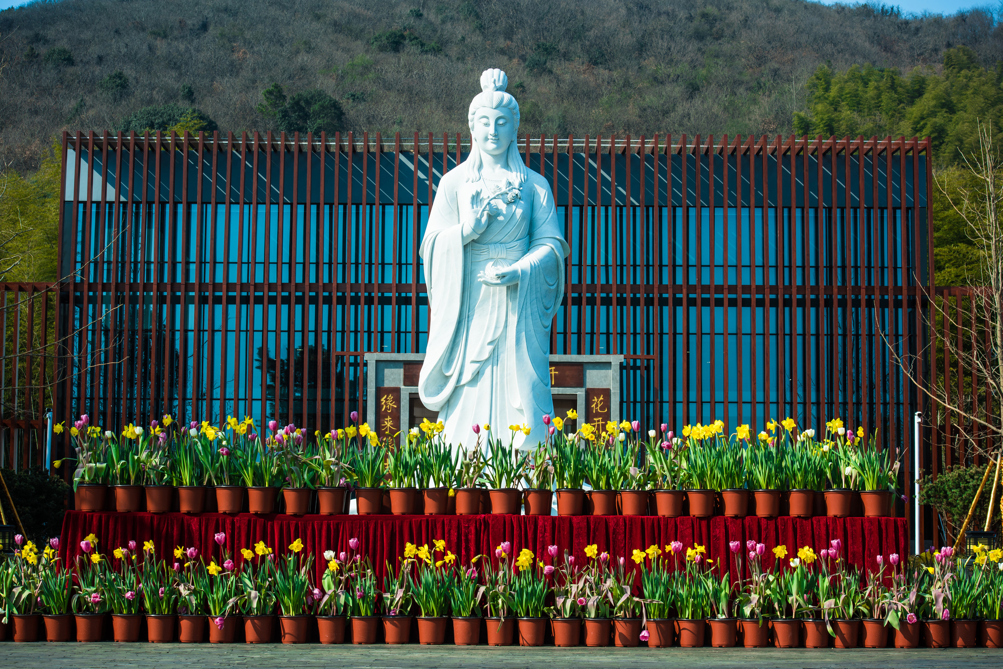 谷奇缘,国家级5a景区茅山脚下的花海小镇,华东地区 "花"主题原创旅游