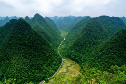 贵州茂兰国家级自然保护区_百度百科