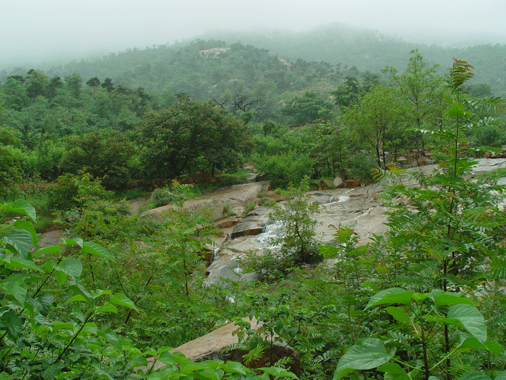 莲青山风景旅游区