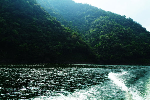  p>坑口水库位于大田县谢洋坑口村. 集雨面积84.