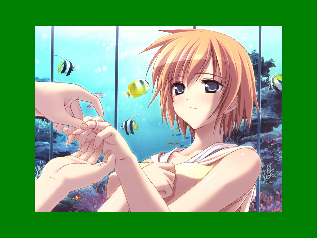 pia carrot e youkoso!