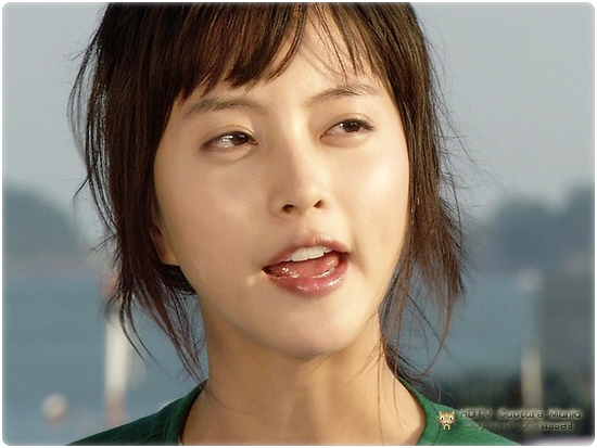  p>《梦幻情侣》,是 a href="#">韩国mbc电视台 /a>自2006年10月14日