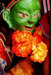 流行于贵州,四川,等大部分地区.