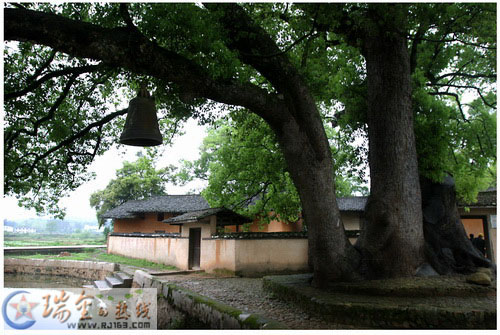  p data-id="gnzlg28vai">瑞金革命遗址,位于江西省东南部, a target=