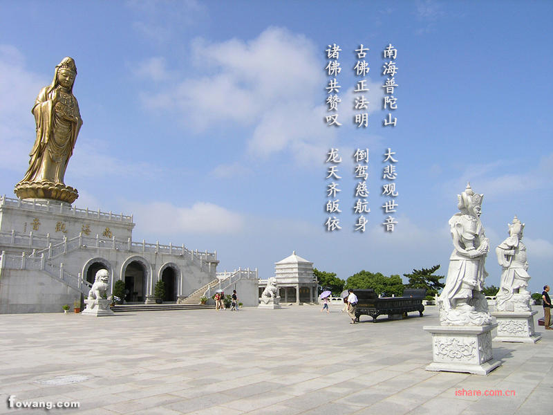 不肯去观音院