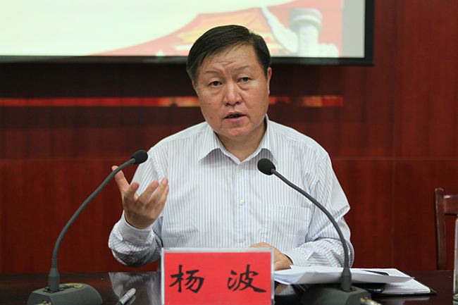 四川SEO总裁杨波 全网资源