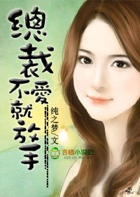 总裁,不爱就放手