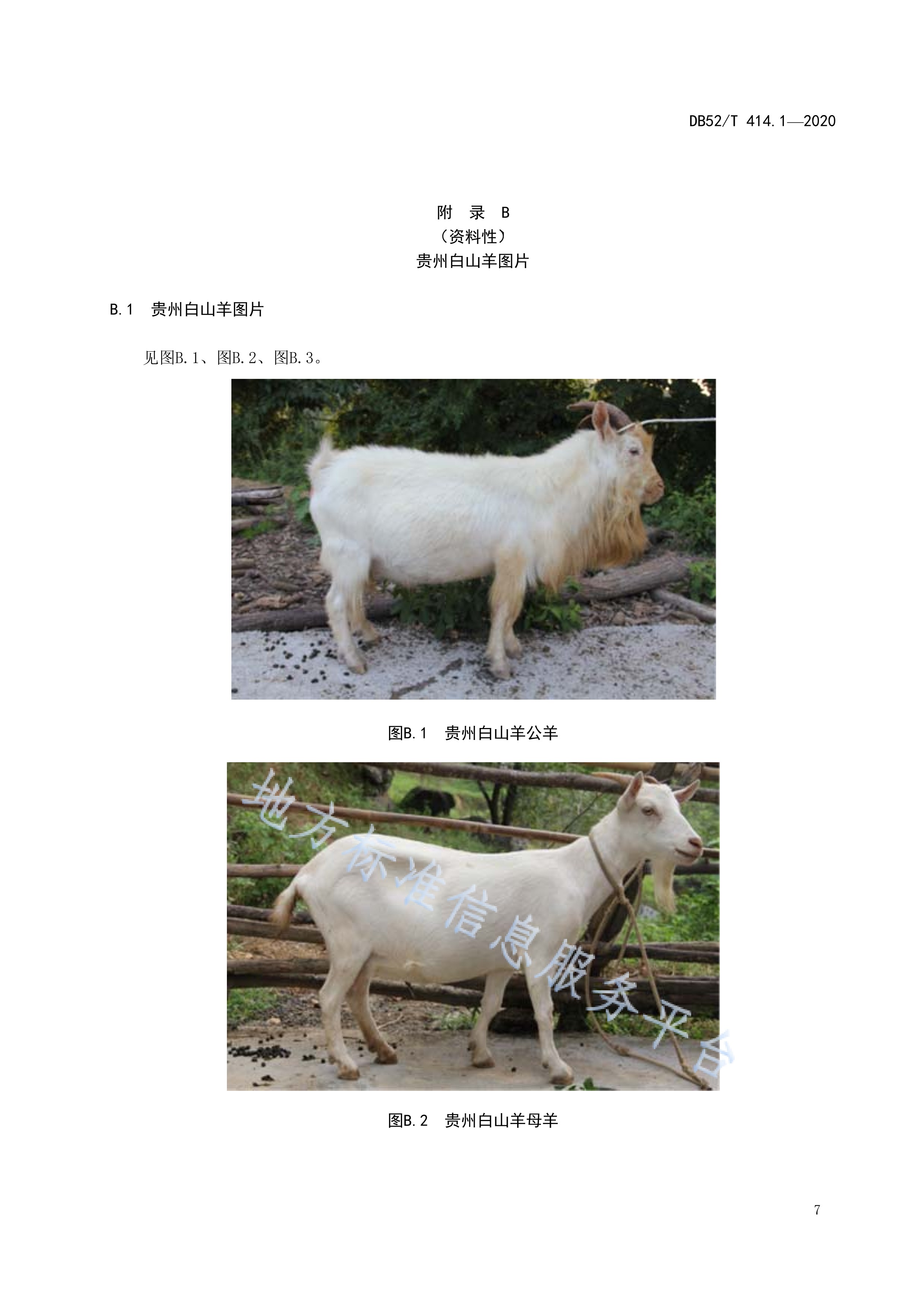  p>《贵州白山羊—第1部分:品种》(db52/t 414.