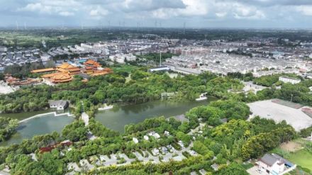 仪征市_百度百科