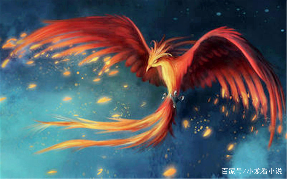 玄幻文：人之将死其言也善，鸟之将亡其鸣也哀_百科TA说