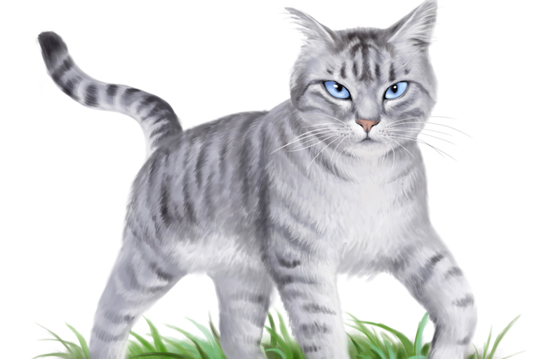  p>藤池是英国小说《猫武士》中的人物,桦落和白翅的女儿,鸽翅的妹妹.