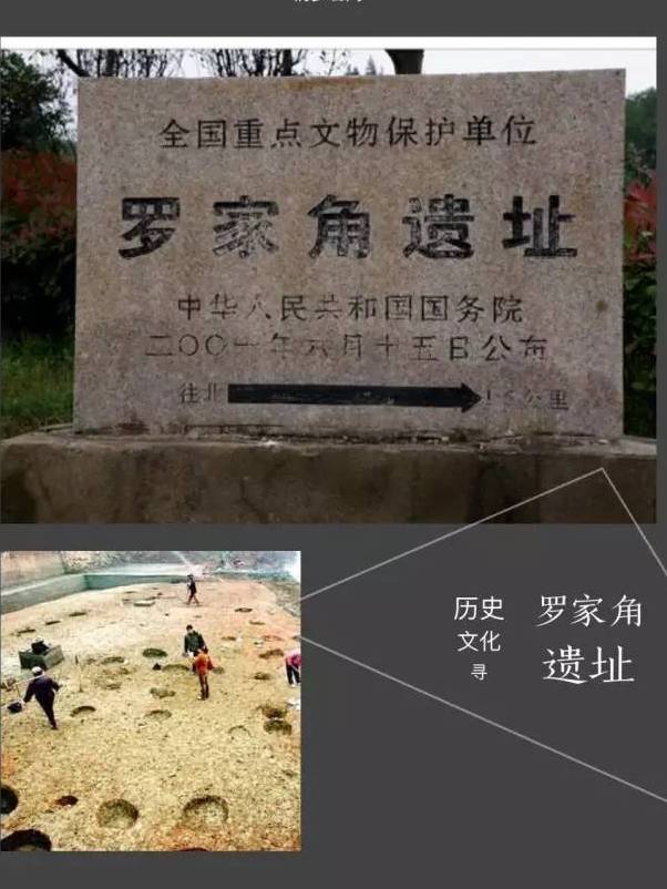 罗家角遗址